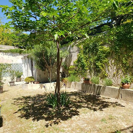 Appartement Au Coeur De Cassis Avec Jardin מראה חיצוני תמונה