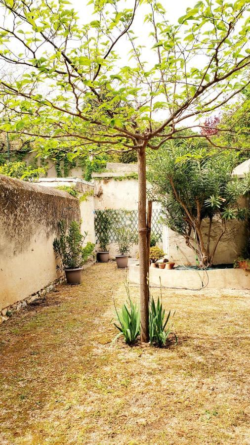 Appartement Au Coeur De Cassis Avec Jardin מראה חיצוני תמונה