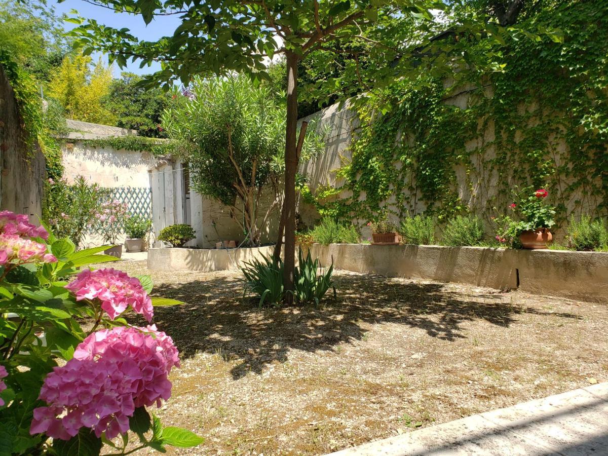 Appartement Au Coeur De Cassis Avec Jardin מראה חיצוני תמונה